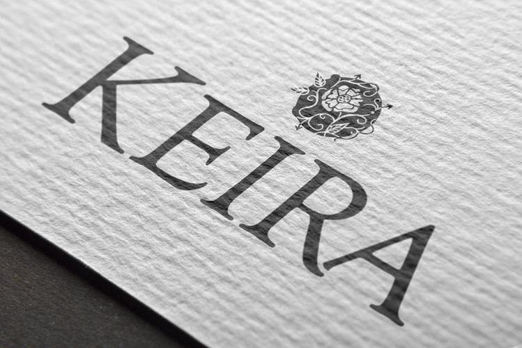 Logo izstrāde